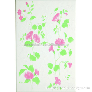 restaurant kitchen ceramic wall tile 200x300MM